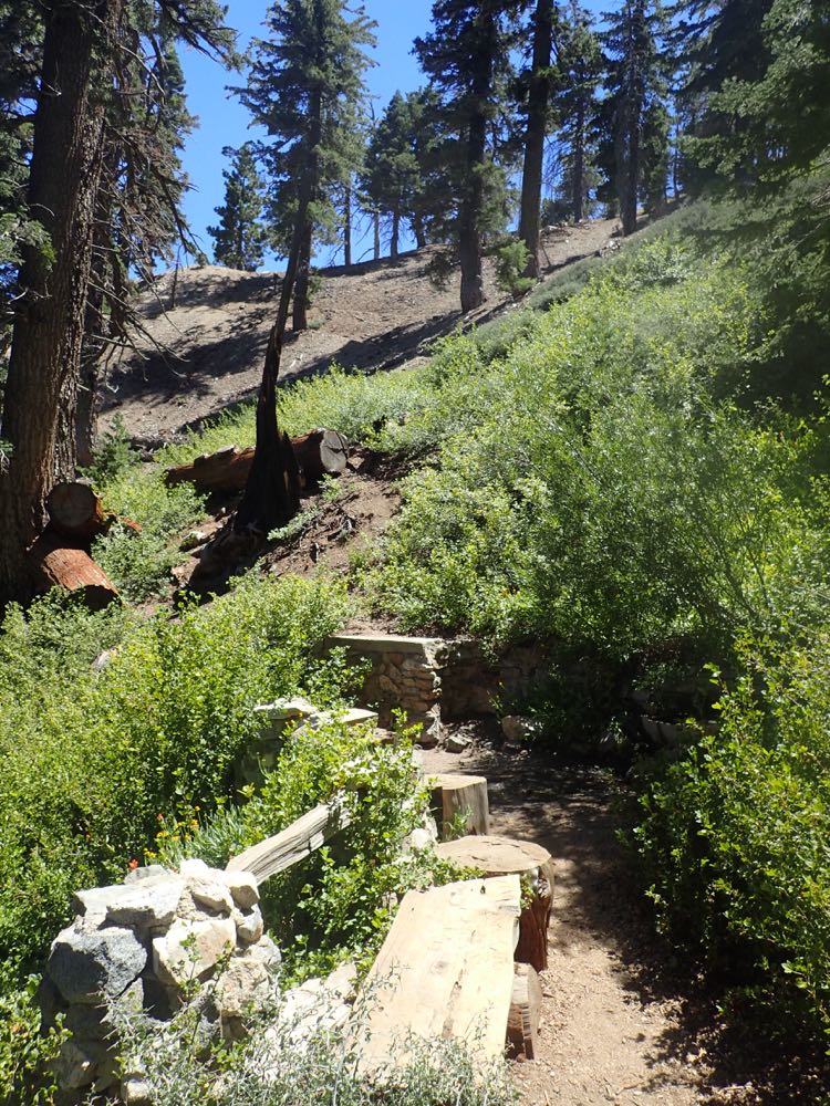 Windy Gap Trail to Little Jimmy Springs The Hikers Way
